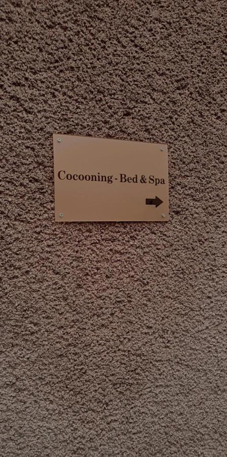 Cocooning Bed&Spa Villa Toulouse Dış mekan fotoğraf